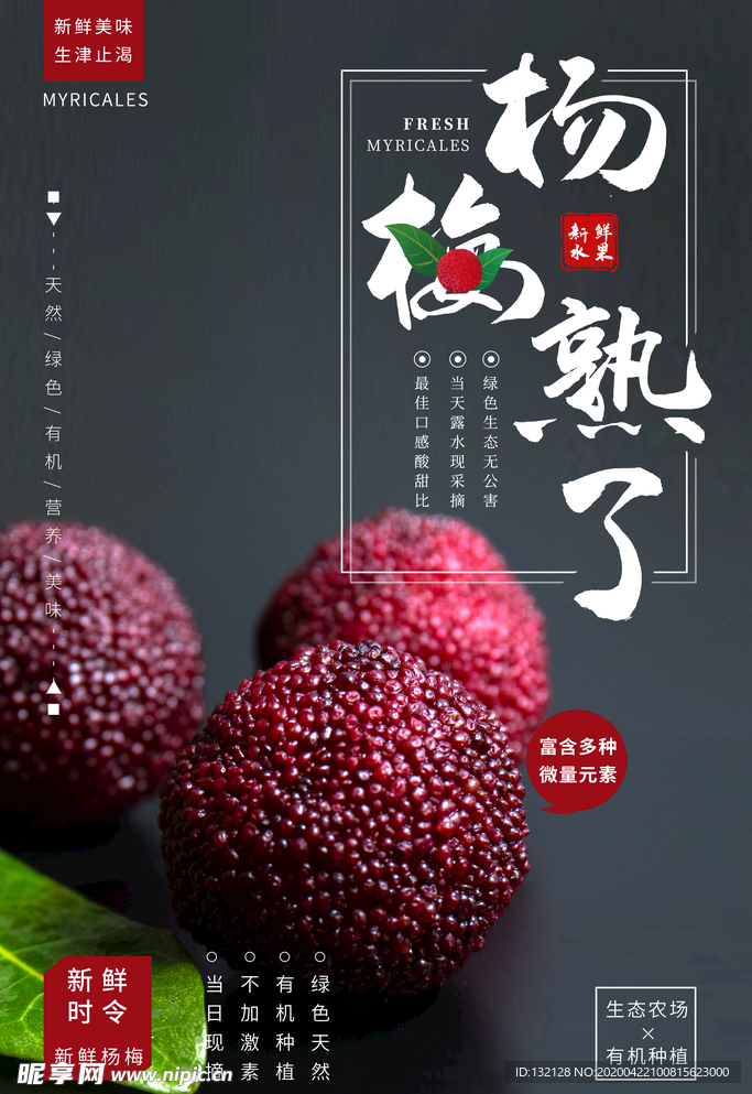 杨梅海报
