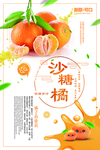小清新水果砂糖橘海报设计