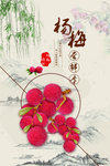 杨梅活动促销宣传展板设