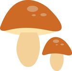 蘑菇