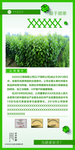 公司简介