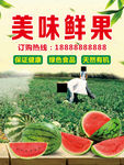 西瓜海报