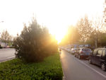 夕阳下的街道