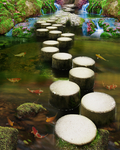 小溪流水