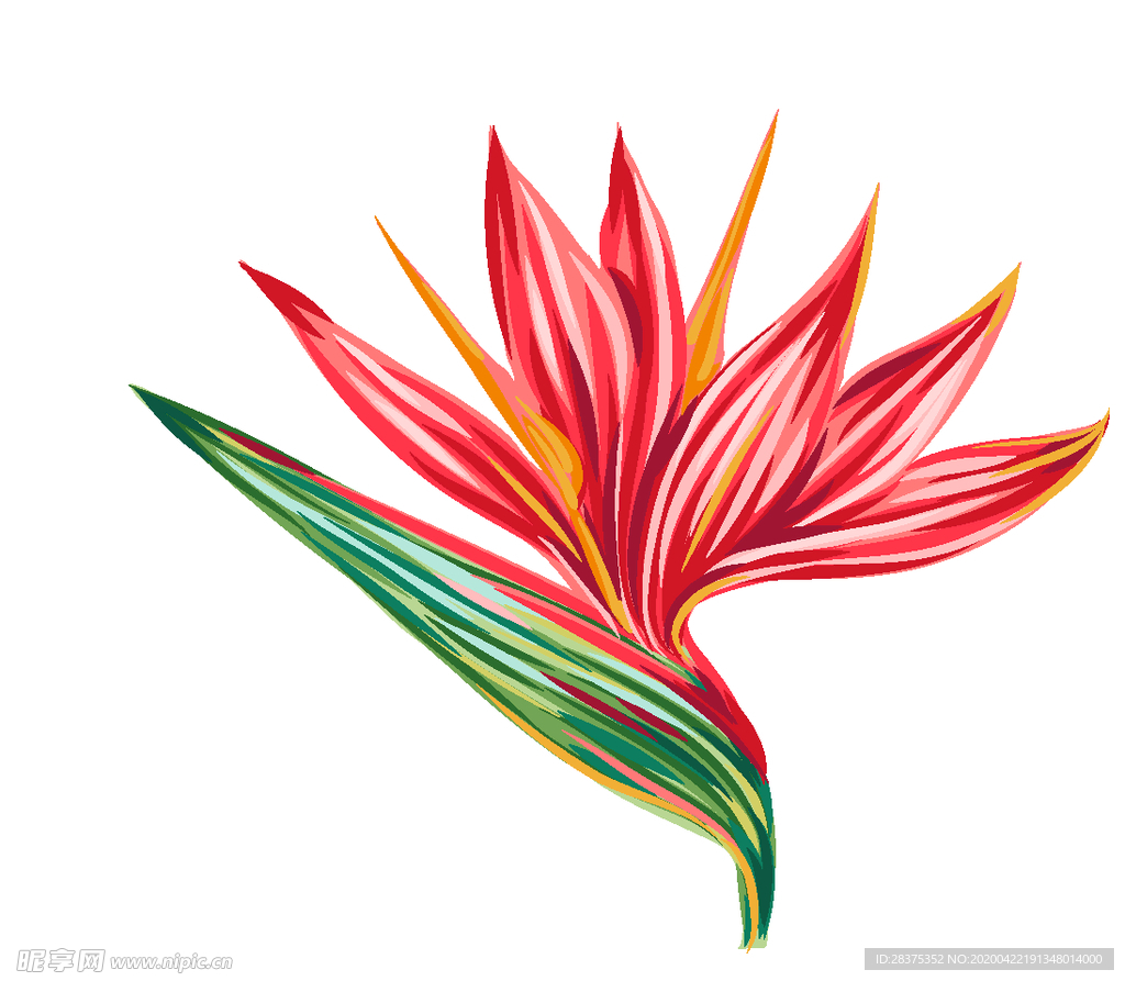 矢量花