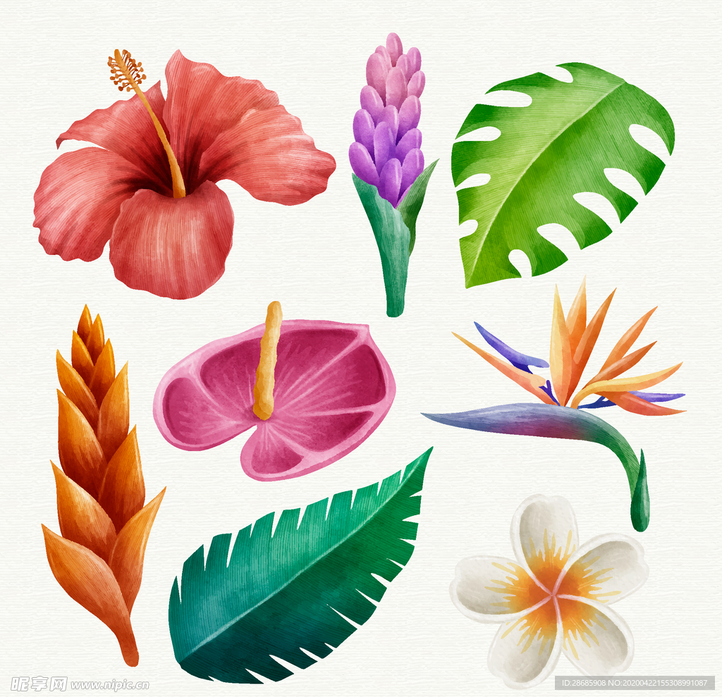线条矢量手绘花草
