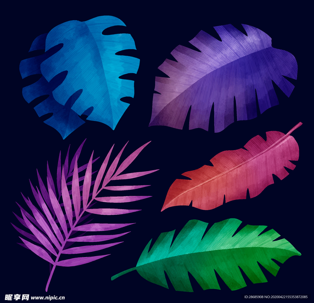 线条矢量手绘花草