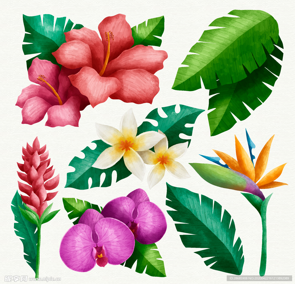 线条矢量手绘花草
