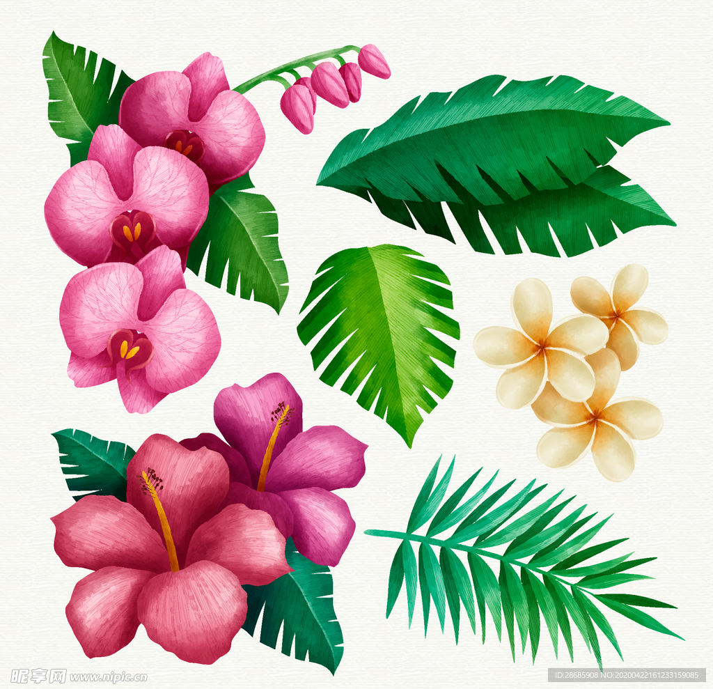 线条矢量手绘花草