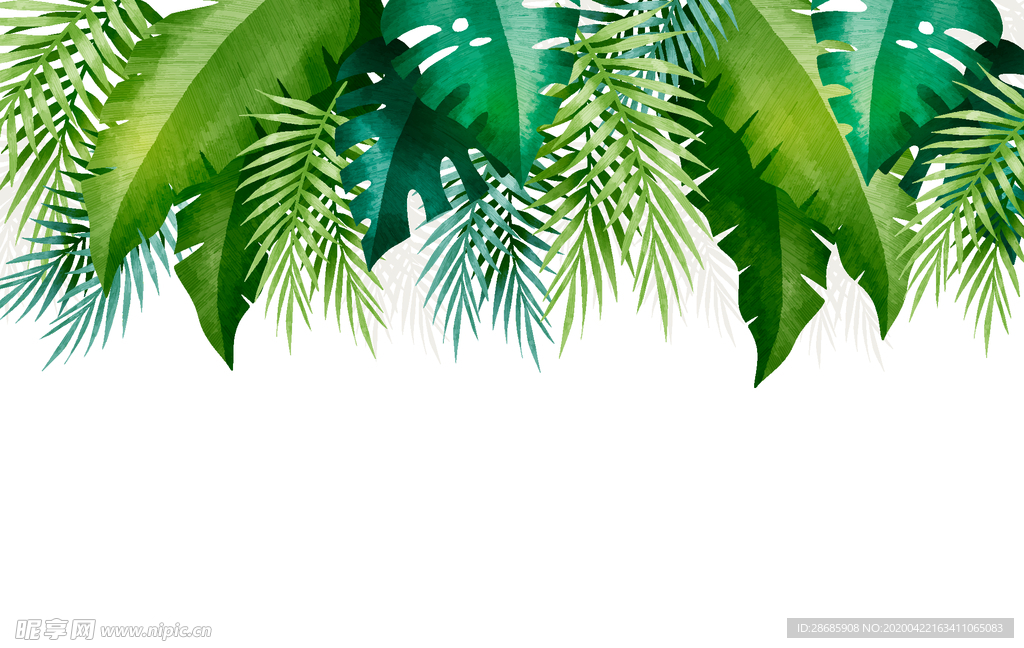 线条矢量手绘花草