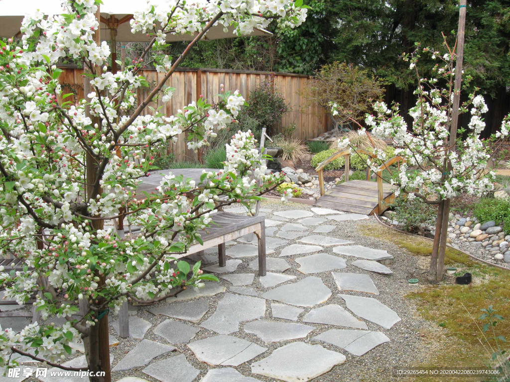 花园庭院