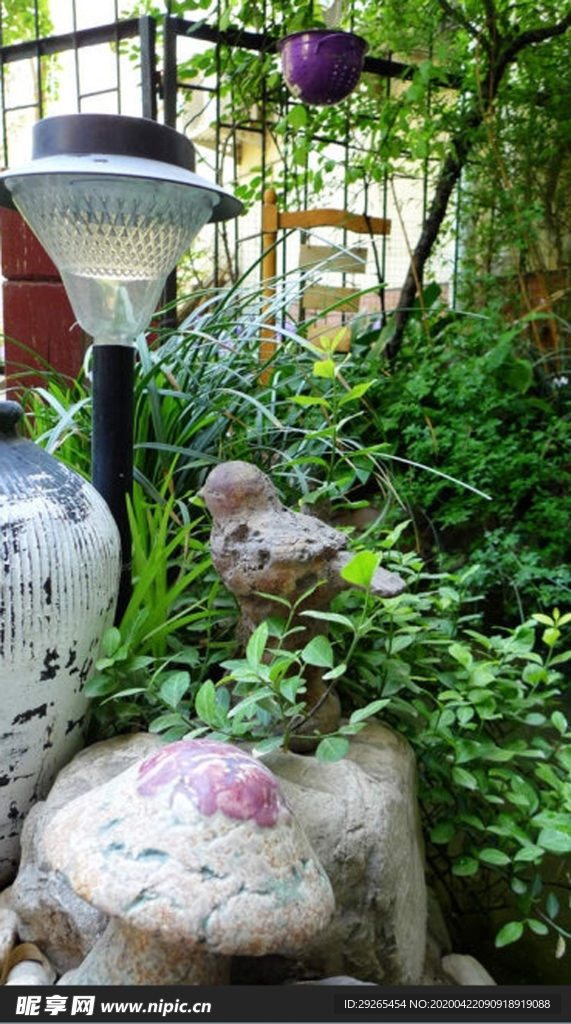 花园庭院