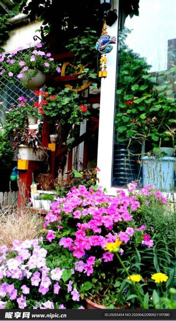 花园庭院