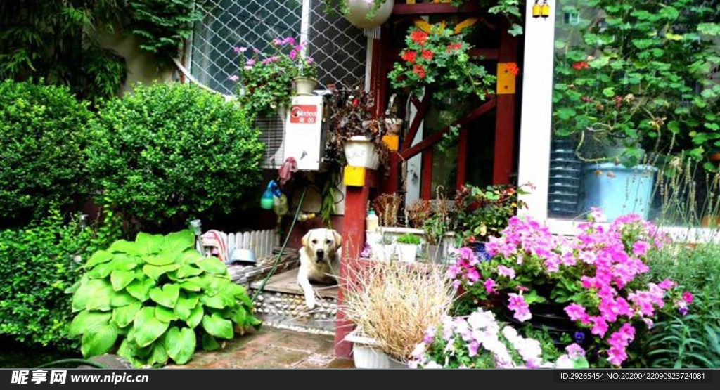 花园庭院