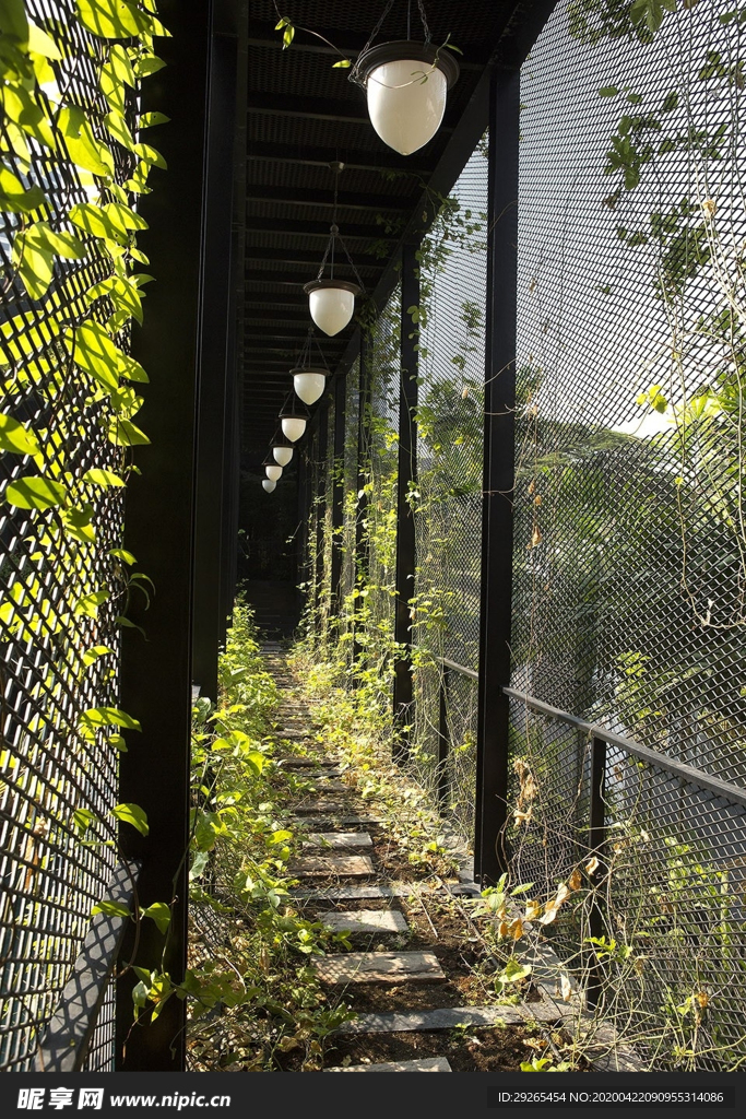 花园庭院