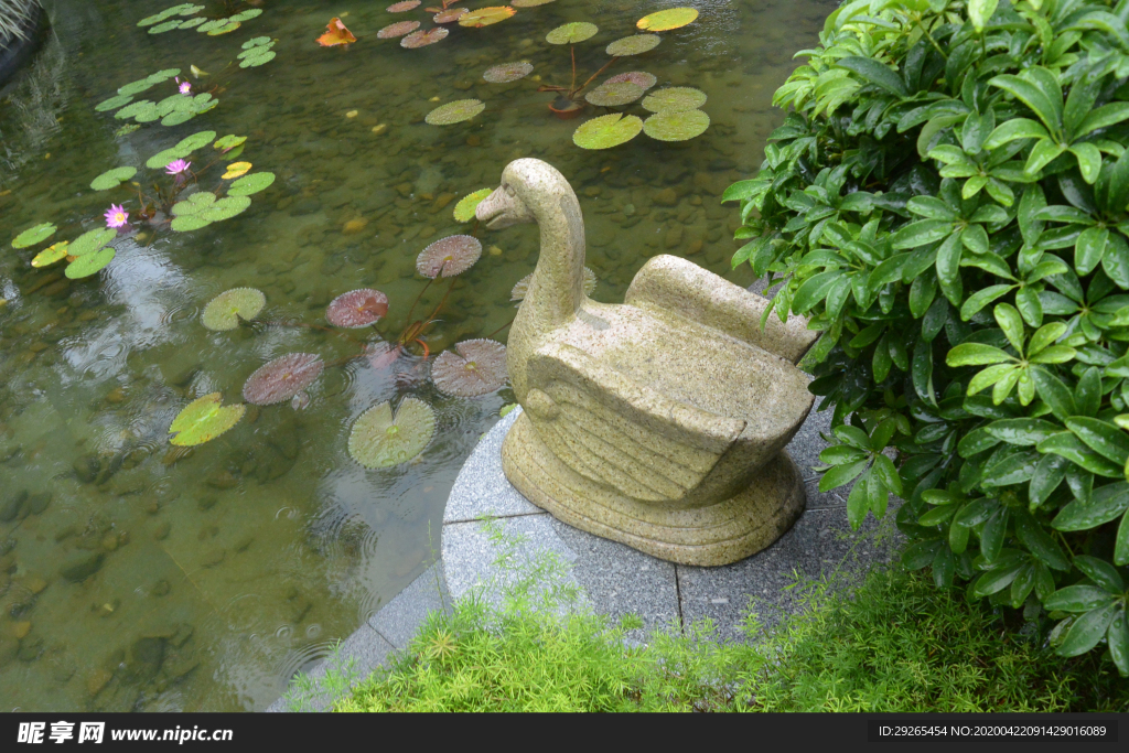 花园庭院