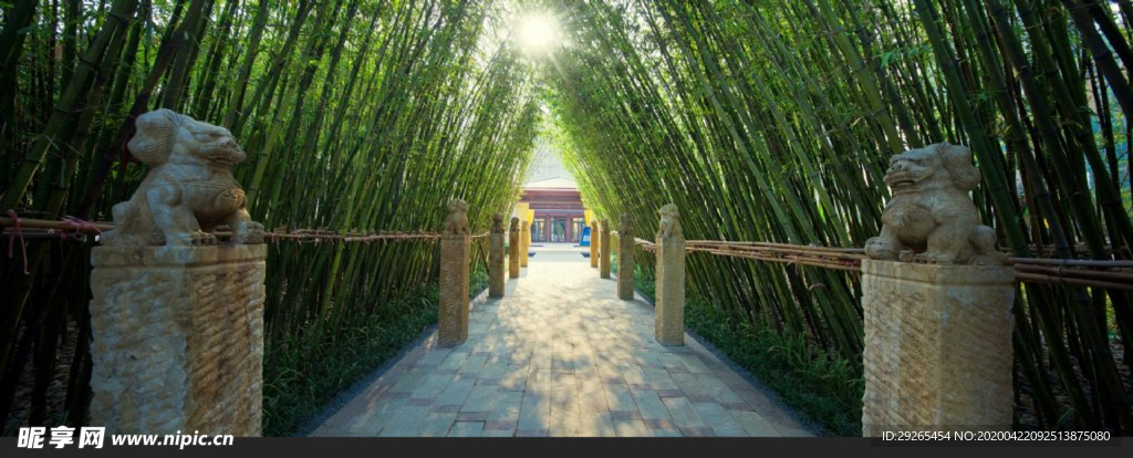 花园庭院
