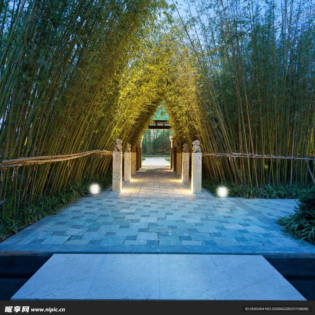 花园庭院