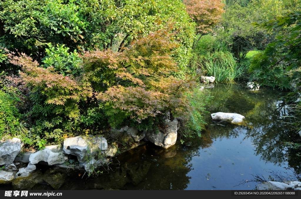花园庭院