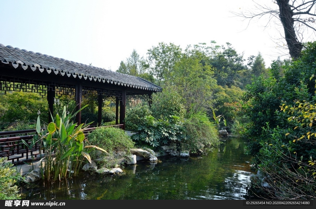 花园庭院