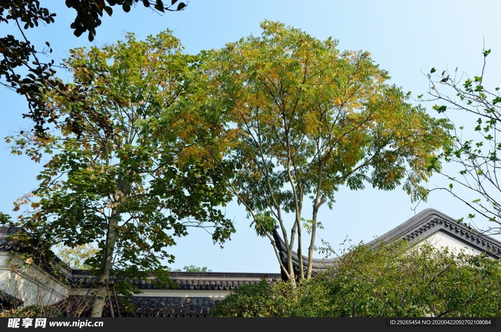 花园庭院