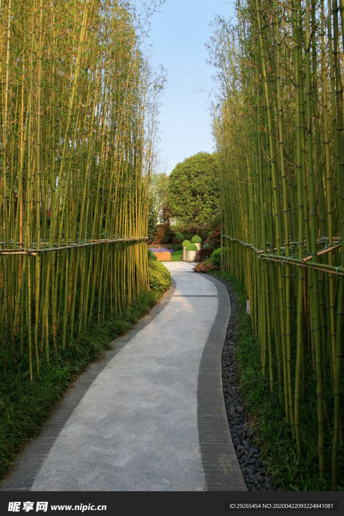 花园庭院