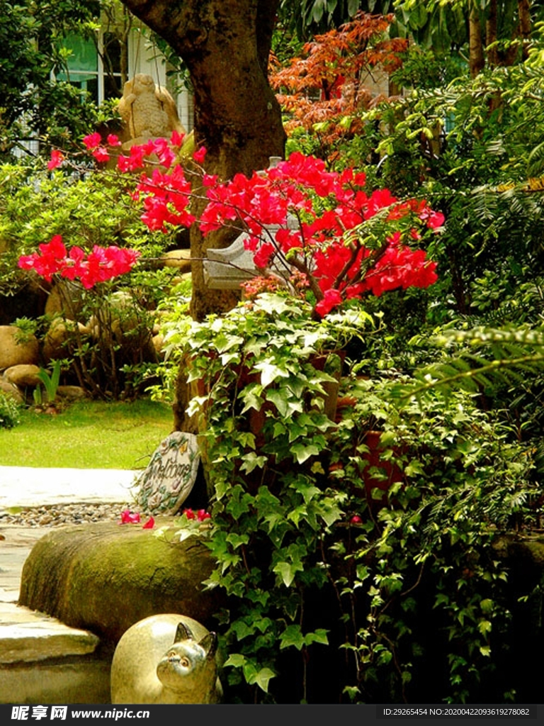 花园庭院