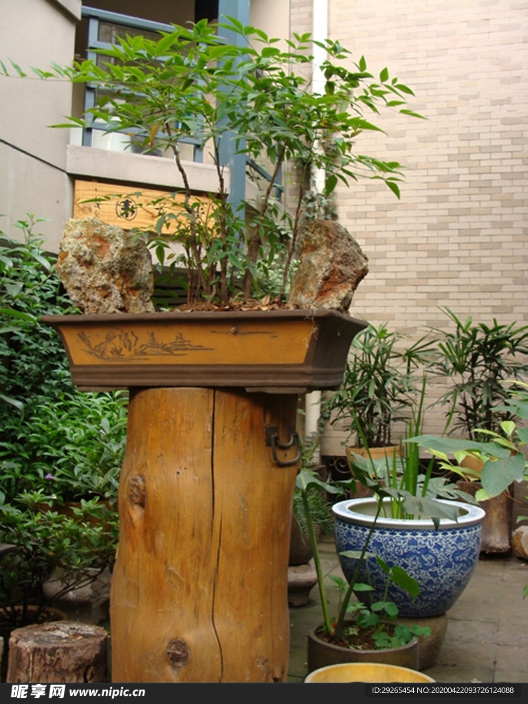 花园庭院