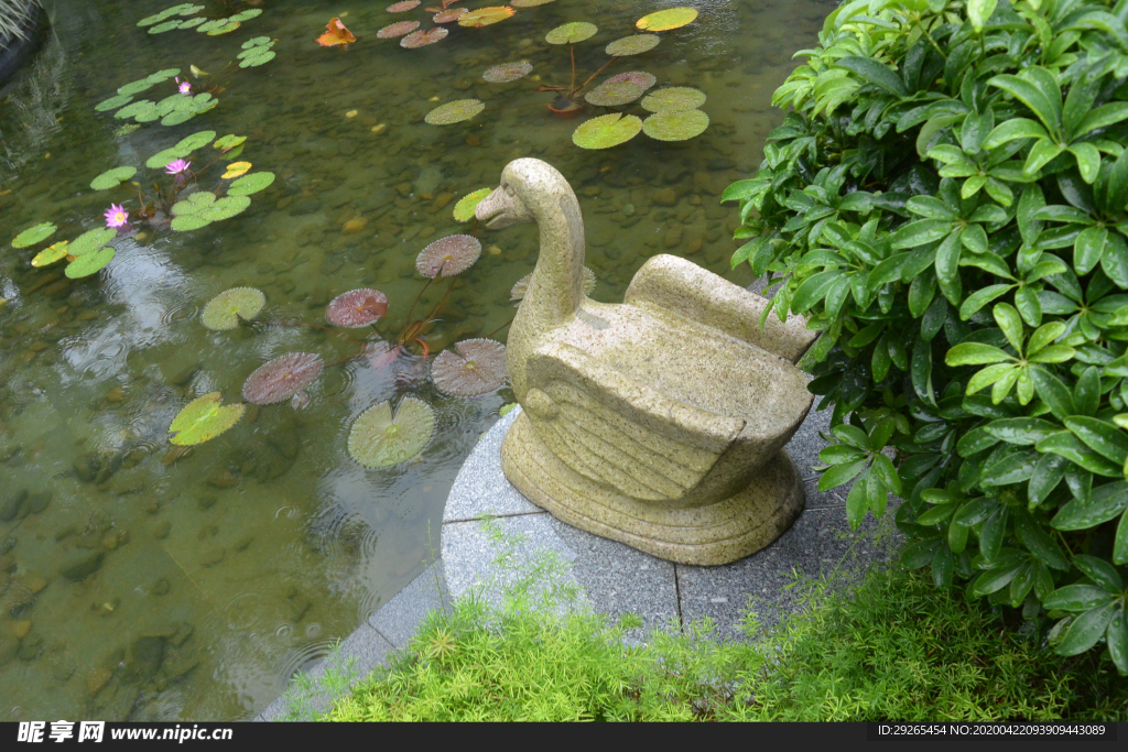 花园庭院
