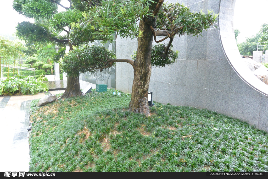 花园庭院
