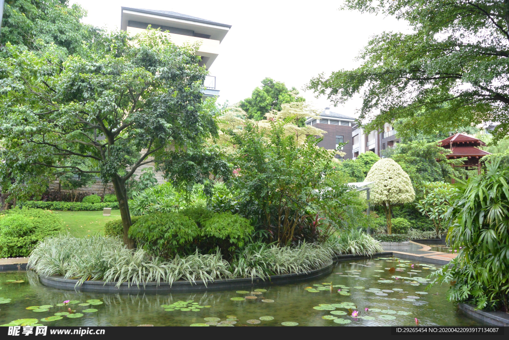 花园庭院