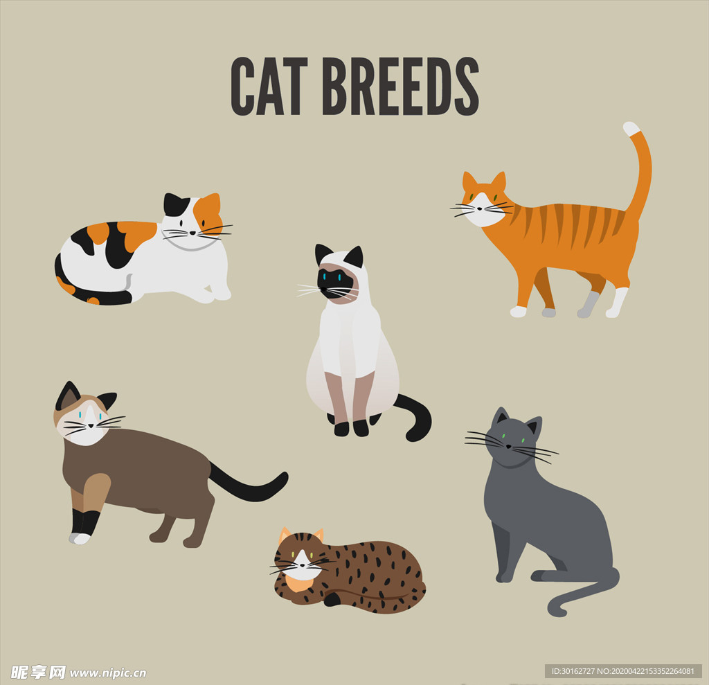 可爱猫咪矢量插画