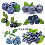 蓝莓