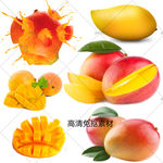 芒果