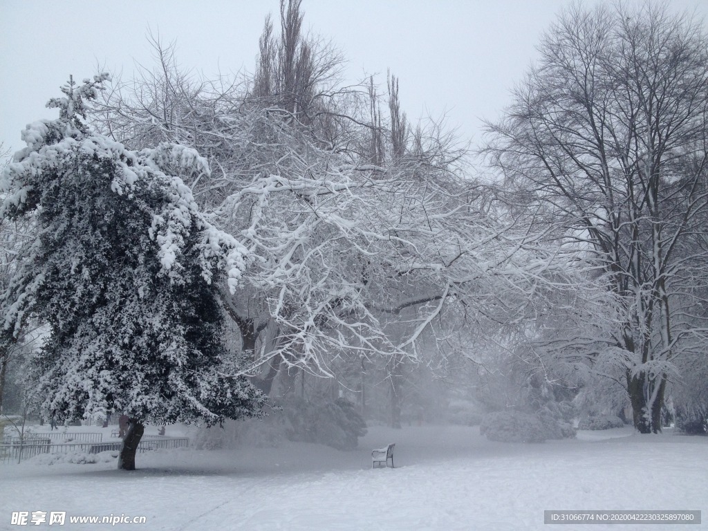 雪景