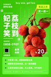 荔枝海报 新鲜荔枝 妃子笑荔枝