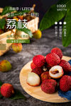 荔枝海报 新鲜荔枝 妃子笑荔枝