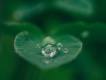 水滴