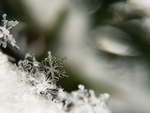 雪花背景