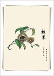 板栗 水墨画