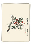 海棠果 水墨画