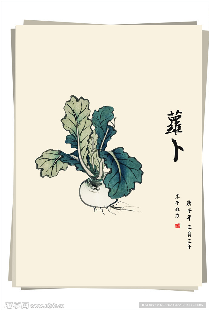 萝卜 水墨画