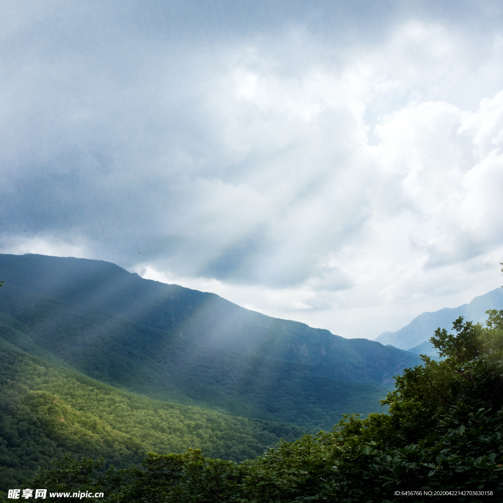 百花山