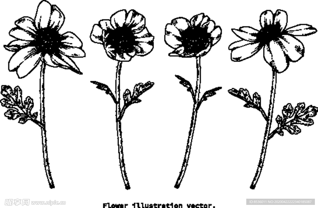花卉花蕊