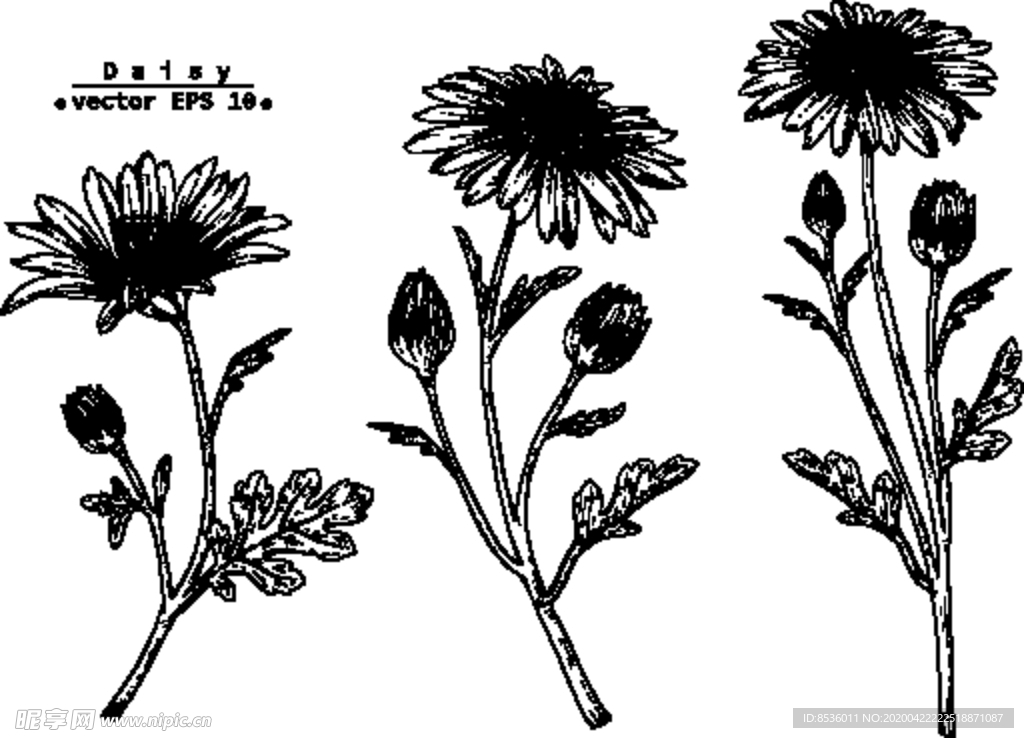 花卉花蕊