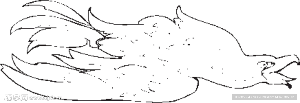 鹰