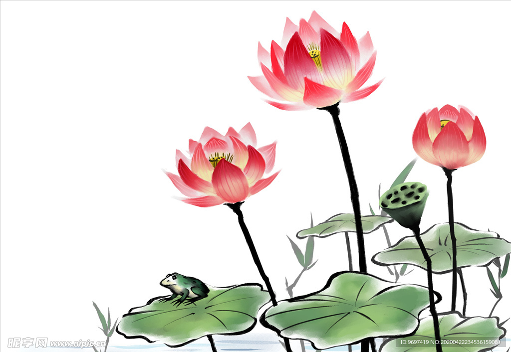 水墨荷花
