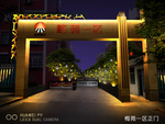 小区节日亮化