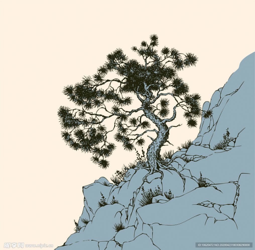 松树