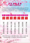 花茶海报